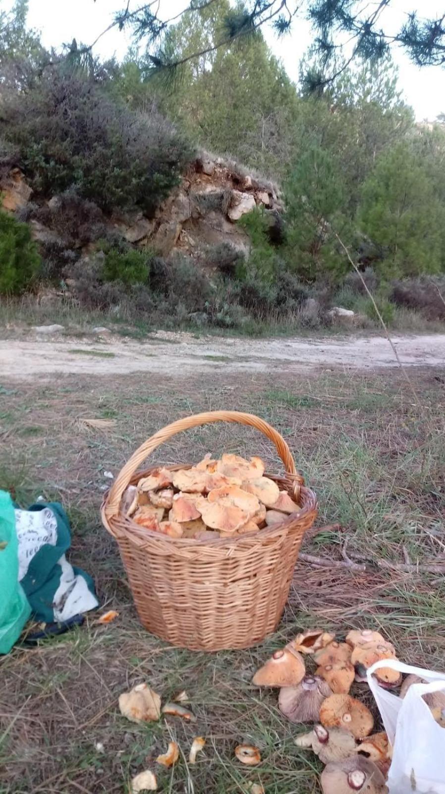 Casa Valle Del Hontanar Cardenete Εξωτερικό φωτογραφία